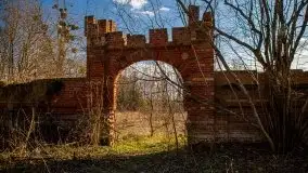 Ruiny Pałacu w Mieduniszkach Wielkich - zdjęcie 16