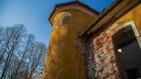 Ruiny Pałacu w Mieduniszkach Wielkich - zdjęcie 25