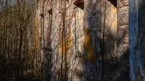 Ruiny Pałacu w Mieduniszkach Wielkich - zdjęcie 34