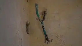 Ruiny Pałacu w Mieduniszkach Wielkich - zdjęcie 57