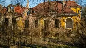 Ruiny Pałacu w Mieduniszkach Wielkich - zdjęcie 62