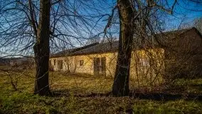 Ruiny Pałacu w Mieduniszkach Wielkich - zdjęcie 76