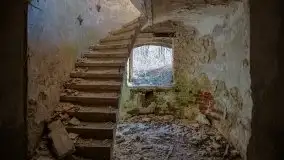 Ruiny Pałacu w Mieduniszkach Wielkich - zdjęcie 98