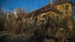 Ruiny Pałacu w Mieduniszkach Wielkich - zdjęcie 104