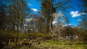 Wopławki - piękny pałac i zagadkowa kaplica - zdjęcie 12