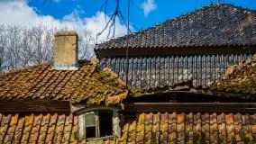 Pałac w Bęsi, na który rzucono klątwę - zdjęcie 29