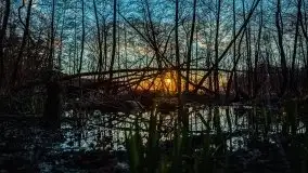 Zachód Słońca Piękna Góra, jez. Kisajno - zdjęcie 10