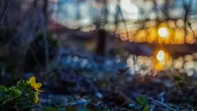 Zachód Słońca Piękna Góra, jez. Kisajno - zdjęcie 4