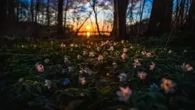 Zachód Słońca Piękna Góra, jez. Kisajno - zdjęcie 13