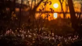 Zachód Słońca Piękna Góra, jez. Kisajno - zdjęcie 24