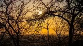 Wschód słońca w Giżycku, ul. Obwodowa - zdjęcie 16