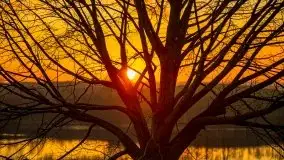 Wschód słońca, jezioro Buwełno - zdjęcie 23