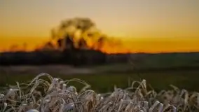 Zachód słońca niedaleko wsi Sulimy - zdjęcie 16