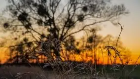 Zachód słońca niedaleko wsi Sulimy - zdjęcie 29