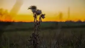 Zachód słońca niedaleko wsi Sulimy - zdjęcie 4