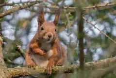 Zdjęcia: Mazurska wiosna na zdjęciach Janka Olchówki - zdjęcie 18