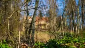 Zdjęcia: Pałac w Skandławkach – do kupienia romantyczna pozostałość dawnych Mazur - zdjęcie 29