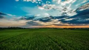 Mazurska i wiosenna flora i fauna na zdjęciach Staszka Sielewicza - zdjęcie 3
