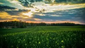 Mazurska i wiosenna flora i fauna na zdjęciach Staszka Sielewicza - zdjęcie 22