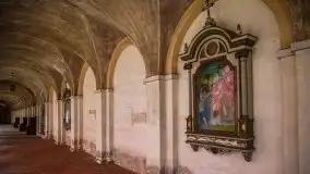 Święta Lipka, wiosna 2020 r. - zdjęcie 27