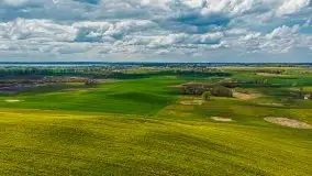 Mazurskie pola rzepaku na początku maja 2020 r. - zdjęcie 11