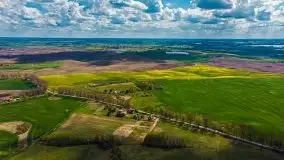 Mazurskie pola rzepaku na początku maja 2020 r. - zdjęcie 20