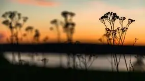 Zachód słońca nad jeziorem Ryńskim, Rybical - zdjęcie 32