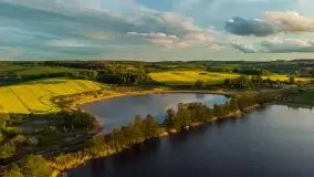 Złoto w kolorach słońca i rzepaku, maj 2020.r - zdjęcie 29