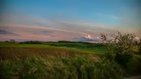 Złoto w kolorach słońca i rzepaku, maj 2020.r - zdjęcie 61