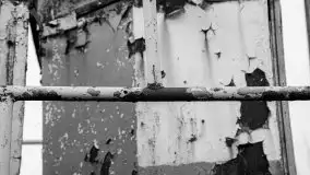 Niemy świadek mazurskich jezior spoczywa koło Rynu - zdjęcie 16