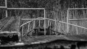 Niemy świadek mazurskich jezior spoczywa koło Rynu - zdjęcie 46