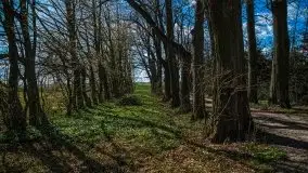 Pałacyk w Rodelach - kolejny świadek historii - zdjęcie 23