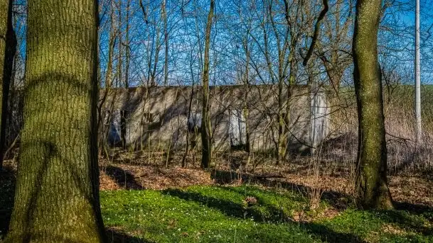 Pałacyk w Rodelach - kolejny świadek historii - zdjęcie 11