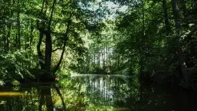 Zdjęcia: Poradnik motorowodny, skuterem i jachtem motorowym przez Mazury - jezioro Mamry - zdjęcie 6