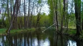 Zdjęcia: Poradnik - motorowodne Mazury - jeziora Święcajty, Stręgiel - zdjęcie 3