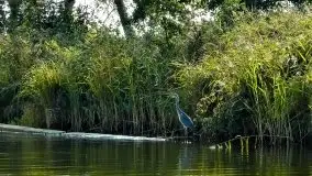 Zdjęcia: Poradnik - motorowodne Mazury - kanały między jeziorami Szymoneckie i Tałty - zdjęcie 14