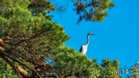 Zdjęcia: Poradnik - motorowodne Mazury - jeziora Guzianka Mała i Wielka, Nidzkie - zdjęcie 6