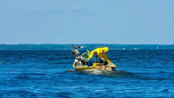 Zdjęcia: Poradnik - motorowodne Mazury - jezioro Śniardwy - zdjęcie 8
