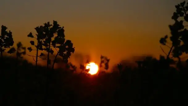 Wschód to nie tylko słońce, to także przejmująca cisza - zdjęcie 2