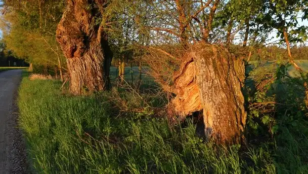 Wschód to nie tylko słońce, to także przejmująca cisza - zdjęcie 8