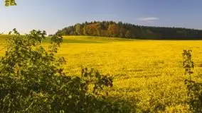 Wschód to nie tylko słońce, to także przejmująca cisza - zdjęcie 9