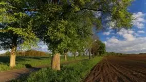 Wschód to nie tylko słońce, to także przejmująca cisza - zdjęcie 12