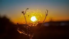 Zachód słońca widoczny z Grodzisko Święta Góra - zdjęcie 23