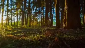 Kolejny raz magia zachodu słońca, okolice jez. Jagodne - zdjęcie 36