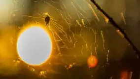 Kolejny raz magia zachodu słońca, okolice jez. Jagodne - zdjęcie 37