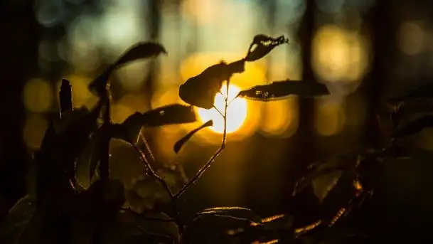 Kolejny raz magia zachodu słońca, okolice jez. Jagodne - zdjęcie 2