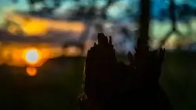 Kolejny raz magia zachodu słońca, okolice jez. Jagodne - zdjęcie 25