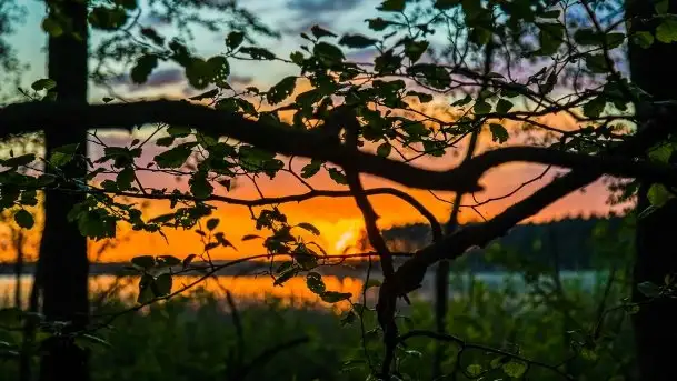 Kolejny raz magia zachodu słońca, okolice jez. Jagodne - zdjęcie 3