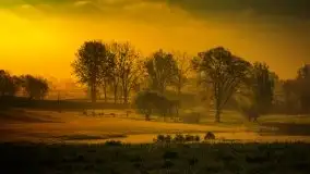 Miłośnicy Mazur - majowe Mazury na zdjęciach Staszka Sielewicza - zdjęcie 2