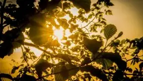 Miłośnicy Mazur - majowe Mazury na zdjęciach Staszka Sielewicza - zdjęcie 14